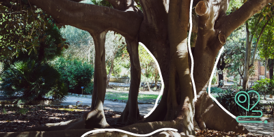 Orto Botanico di Cagliari